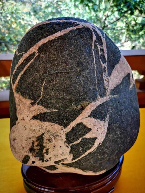 阜平縣第二屆雪浪石文化展 石韻天成，文蘊(yùn)流傳