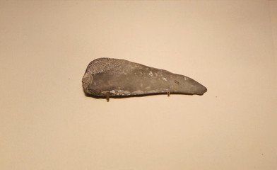 商代石鐮與石碑 遠古農耕與文明的物證